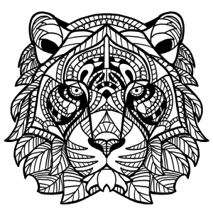 Draw by Numbers for Adults